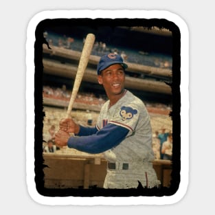 Ernie Banks in Chicago Cubs Sticker